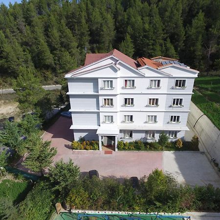 Hotel Elvis Mjull-Bethore Zewnętrze zdjęcie